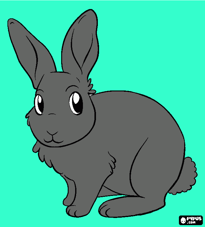 ponpon tavşan boyama