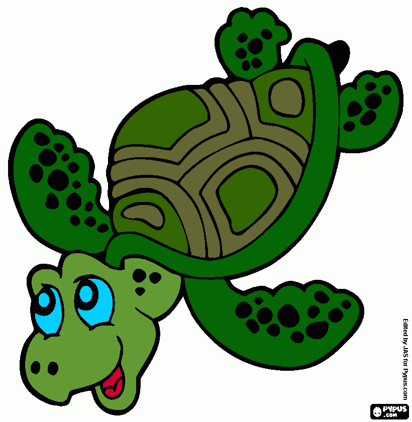 kaplumbaga boyama