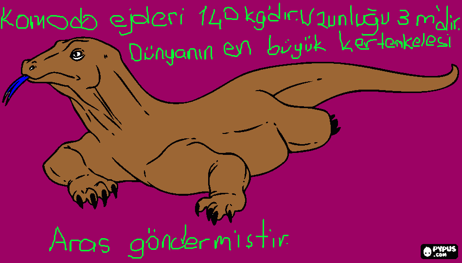 komodo ejderi boyama
