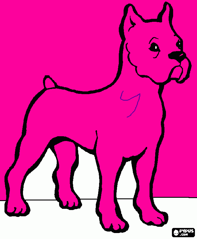 köpek resmi boyama