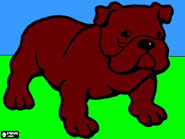 köpek boyama