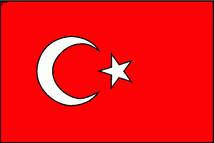Türkiye bayrağı boyama