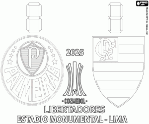2025 Copa Libertadores finali boyama