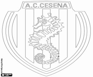 AC Cesena kalkan boyama
