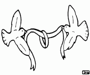 Alyans ve güvercinler boyama