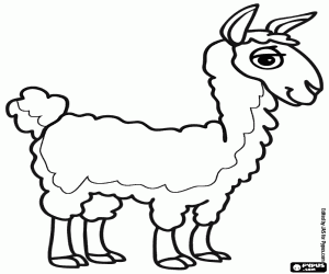 Andes üzerinden bir vikunya boyama