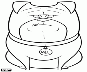 Bir arkadaşı köpek, Mel boyama