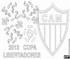 Atletico Mineiro, Libertadores 2013 boyama