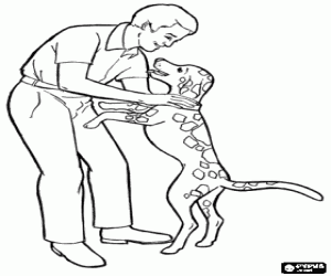 Bir baba köpeğiyle, babalar günü boyama