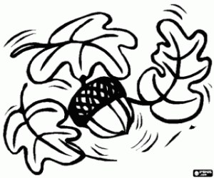 Bazı Meşe yaprakları ve an acorn boyama