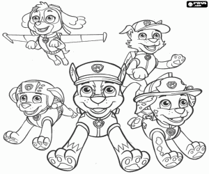 Beş Paw Patrol köpeklerin boyama
