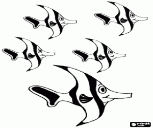 Birçok balıklar ve mercan resifleri boyama