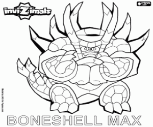 Boneshell Max, Tai Invizimal boyama