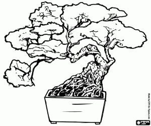 Bonsai, Japon sanatı boyama