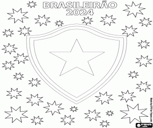 Botafogo, Brasileirão 2024 boyama