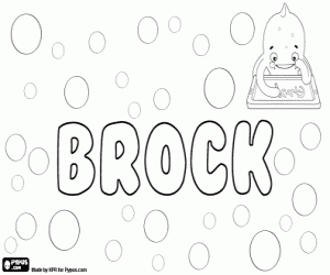 Brock, İngilizce adı boyama