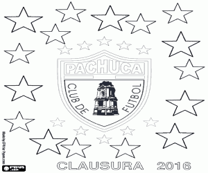 CF Pachuca, şampiyon Clausura 2016 boyama