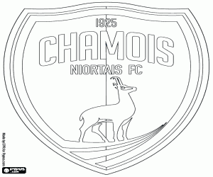 Chamois Niortais FC rozeti boyama