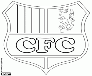 Chemnitzer FC kalkan boyama