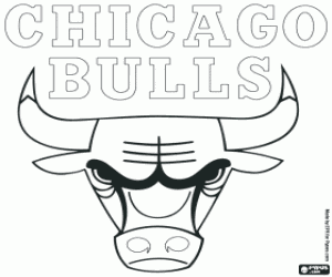 Chicago Bulls rozeti boyama