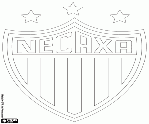 Club Necaxa kalkan boyama