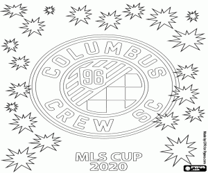 Columbus Crew, MLS Cup 2020 boyama