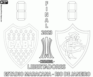 Copa Libertadores 2023 Finali boyama