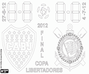 Copa Libertadores Final 2012 boyama