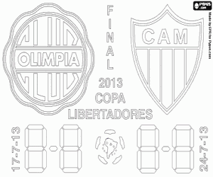 Copa Libertadores, Final 2013 boyama
