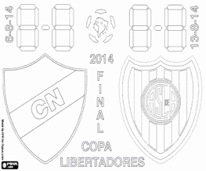 Copa Libertadores Final 2014 boyama