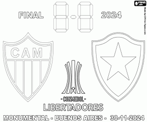 Copa Libertadores, final 2024 boyama
