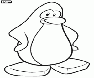 Dan Club Penguin Penguen boyama