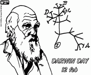 Darwin'in evrim ağacı boyama