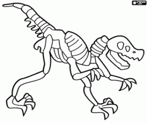 Dinozor İskeleti boyama