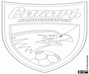 FC Sibir Novosibirsk kalkan boyama