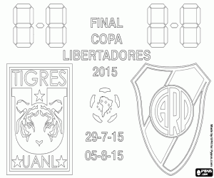 Final Copa Libertadores 2015 boyama