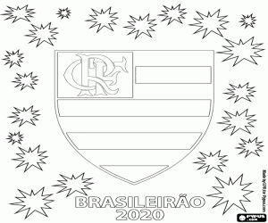 Flamengo, Brasileirão 2020 boyama
