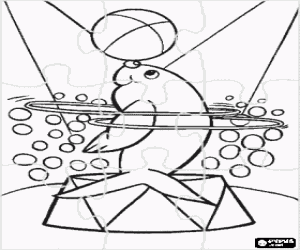 Bir fok bir sirk puzzle boyama