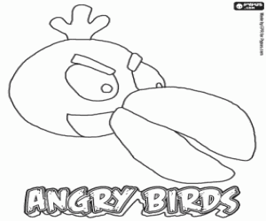 Green Bird, kuş Angry Birds boyama