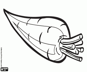 Havuç, bir kök, sebze boyama