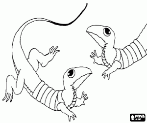 Iki kertenkele yüz yüze boyama