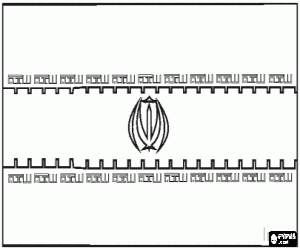 Iran Bayrağı boyama