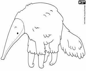 Karıncayiyen bir memeli boyama