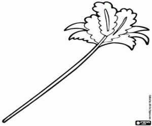 Kedi ile oynamak için bir tüylü toz boyama