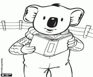 Koala Buster bir kitap okur boyama