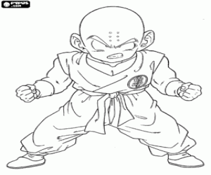 Krillin, Son Goku ilk rakibi boyama