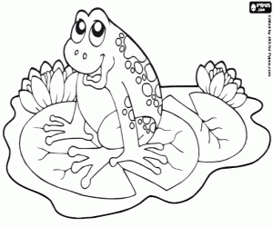 Bir kurbağaya bir nilüfer boyama