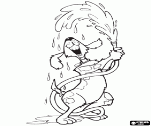 Köpek su ile oynar boyama