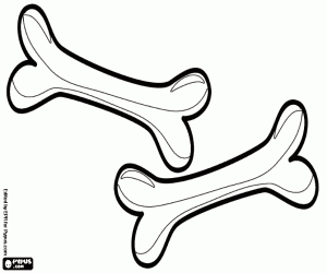 Küçük köpek için iki kemik boyama