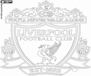 Liverpool FC kalkan boyama